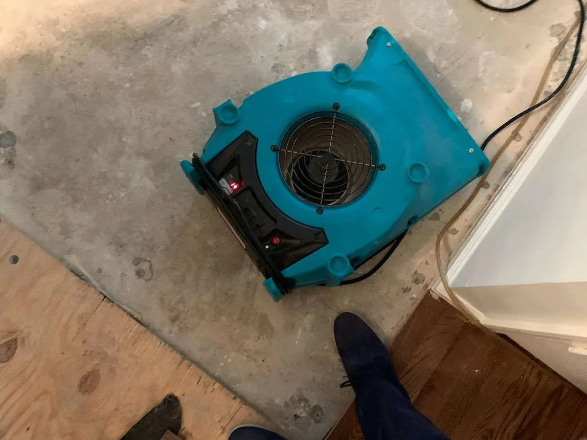 Air mover drying subfloor during Leak Detection & Repair in Roselle Park